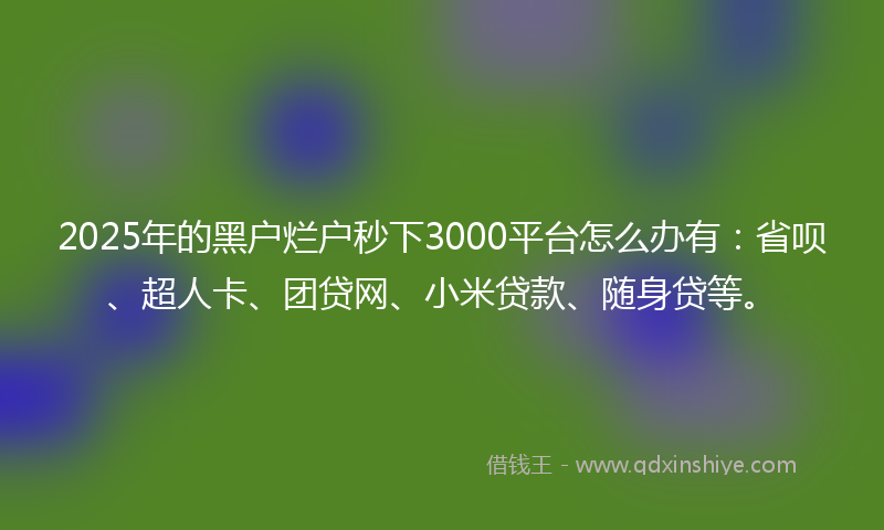 2025年的黑户烂户秒下3000平台怎么办有：省呗、超人卡、团贷网、小米贷款、随身贷等。