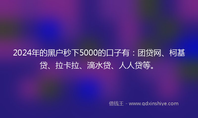2024年的黑户秒下5000的口子有：团贷网、柯基贷、拉卡拉、滴水贷、人人贷等。