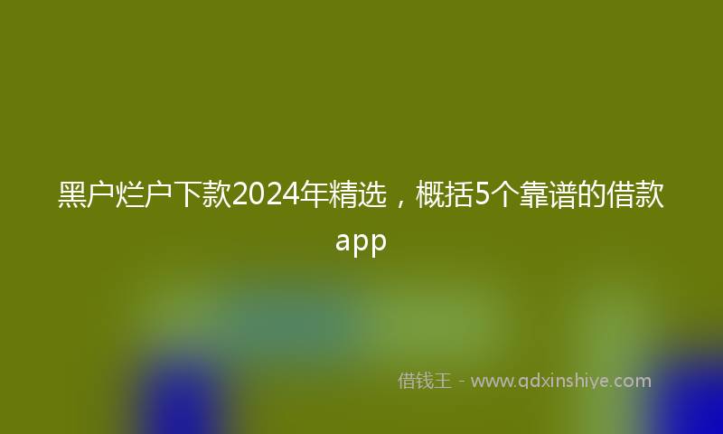 黑户烂户下款2024年精选，概括5个靠谱的借款app