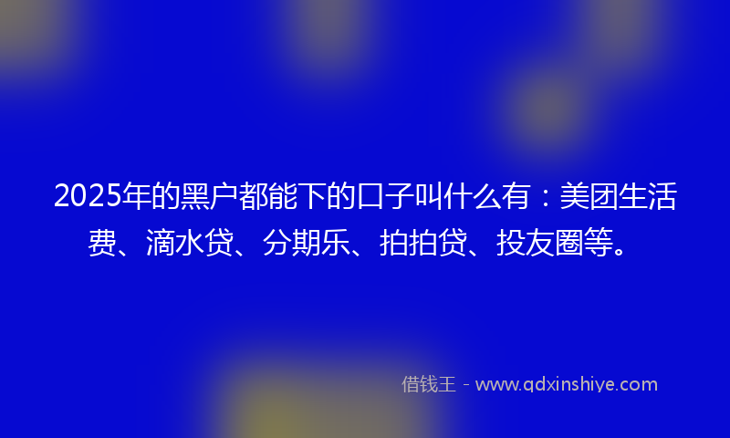 2025年的黑户都能下的口子叫什么有：美团生活费、滴水贷、分期乐、拍拍贷、投友圈等。