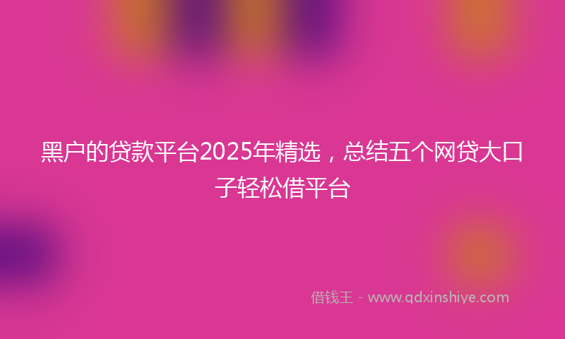 黑户的贷款平台2025年精选，总结五个网贷大口子轻松借平台
