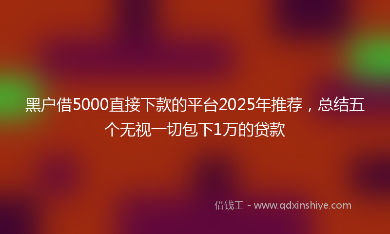 黑户借5000直接下款的平台2025年推荐，总结五个无视一切包下1万的贷款
