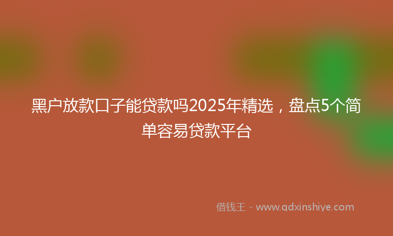 黑户放款口子能贷款吗2025年精选，盘点5个简单容易贷款平台