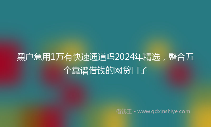 黑户急用1万有快速通道吗2024年精选，整合五个靠谱借钱的网贷口子
