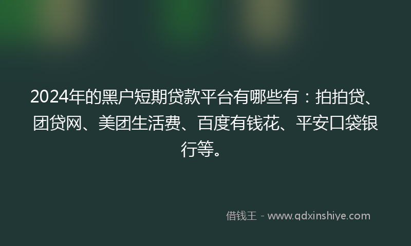 2024年的黑户短期贷款平台有哪些有：拍拍贷、团贷网、美团生活费、百度有钱花、平安口袋银行等。