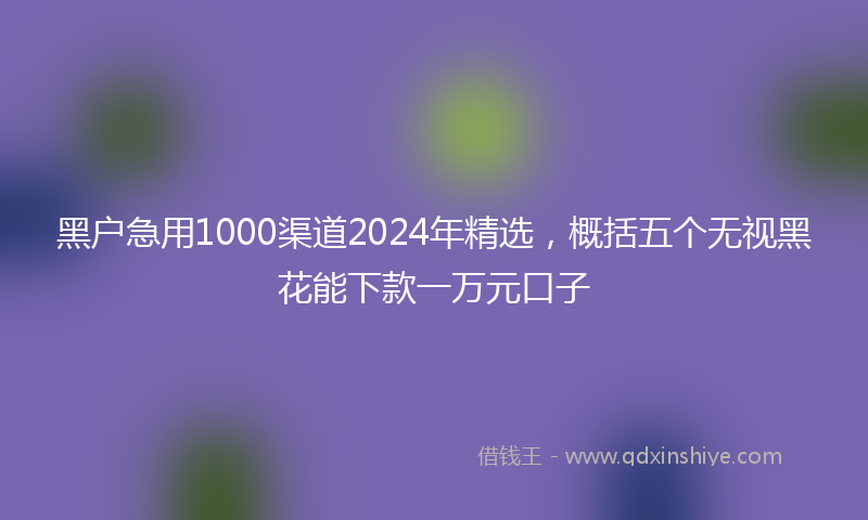 黑户急用1000渠道2024年精选，概括五个无视黑花能下款一万元口子