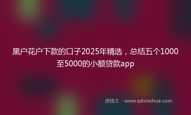 黑户花户下款的口子2025年精选，总结五个1000至5000的小额贷款app