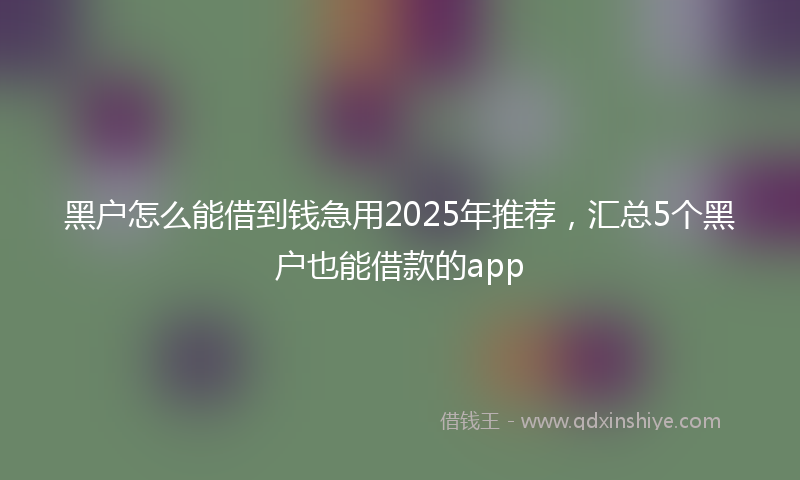 黑户怎么能借到钱急用2025年推荐，汇总5个黑户也能借款的app