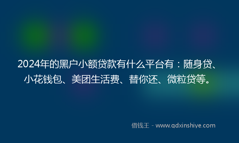 2024年的黑户小额贷款有什么平台有：随身贷、小花钱包、美团生活费、替你还、微粒贷等。