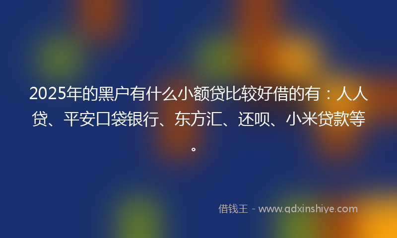 2025年的黑户有什么小额贷比较好借的有：人人贷、平安口袋银行、东方汇、还呗、小米贷款等。