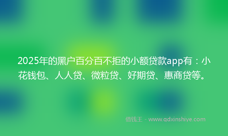 2025年的黑户百分百不拒的小额贷款app有：小花钱包、人人贷、微粒贷、好期贷、惠商贷等。