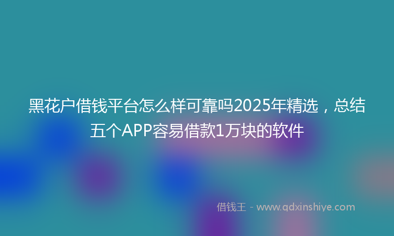 黑花户借钱平台怎么样可靠吗2025年精选，总结五个APP容易借款1万块的软件