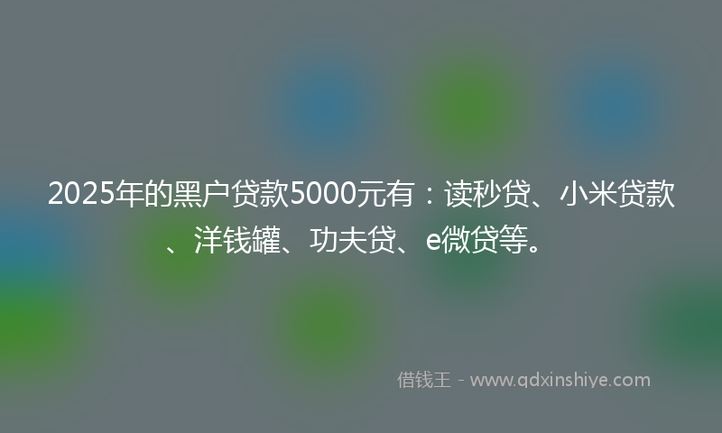 2025年的黑户贷款5000元有：读秒贷、小米贷款、洋钱罐、功夫贷、e微贷等。