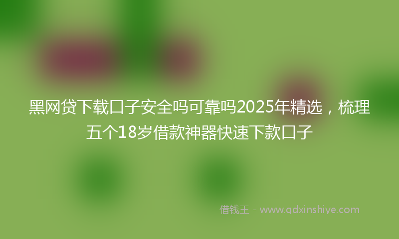 黑网贷下载口子安全吗可靠吗2025年精选，梳理五个18岁借款神器快速下款口子