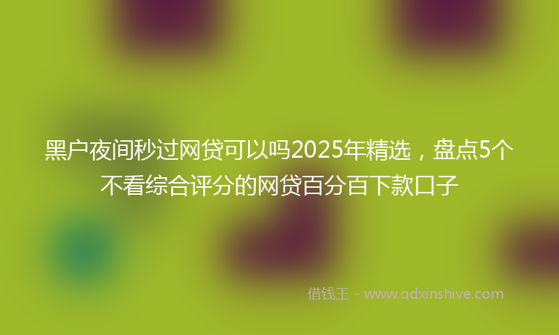 黑户夜间秒过网贷可以吗2025年精选，盘点5个不看综合评分的网贷百分百下款口子