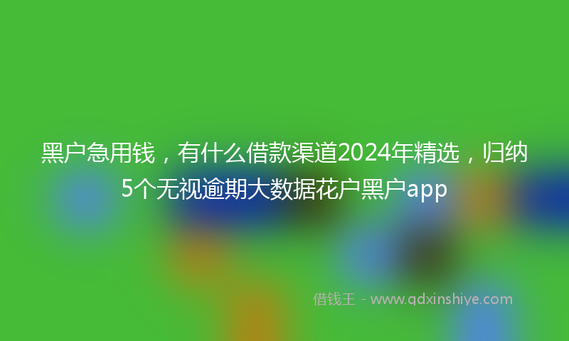 黑户急用钱，有什么借款渠道2024年精选，归纳5个无视逾期大数据花户黑户app