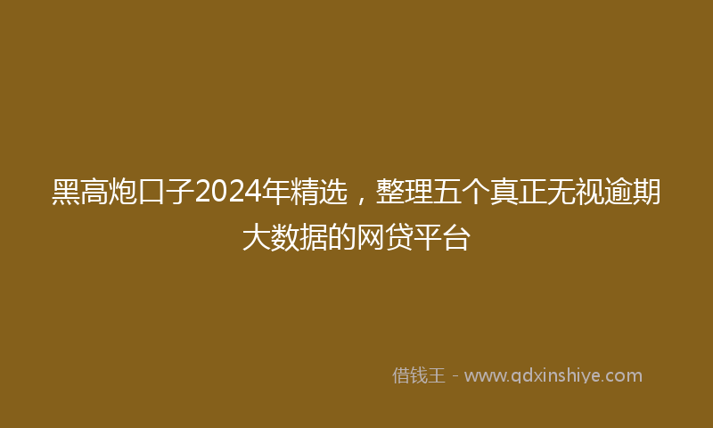 黑高炮口子2024年精选，整理五个真正无视逾期大数据的网贷平台