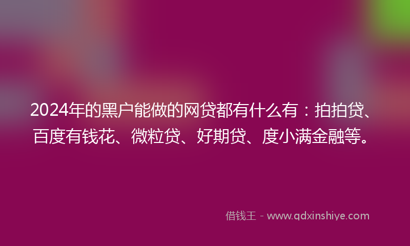 2024年的黑户能做的网贷都有什么有：拍拍贷、百度有钱花、微粒贷、好期贷、度小满金融等。
