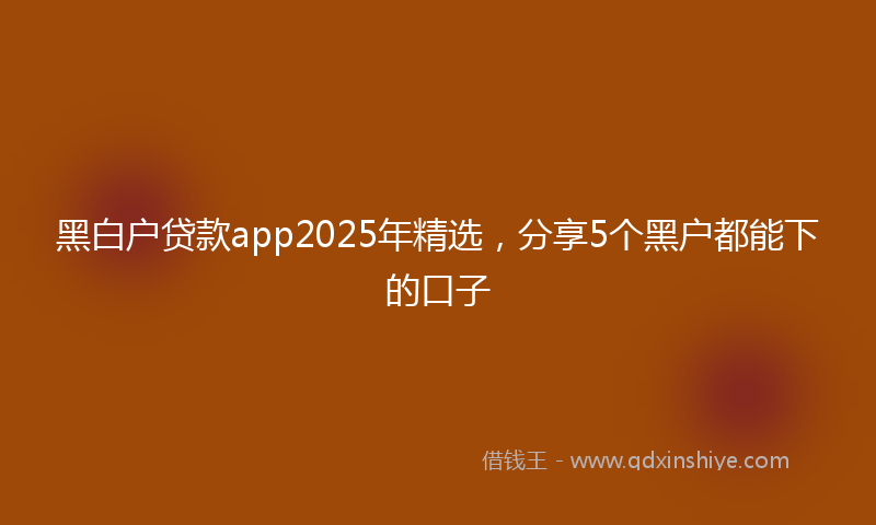 黑白户贷款app2025年精选，分享5个黑户都能下的口子