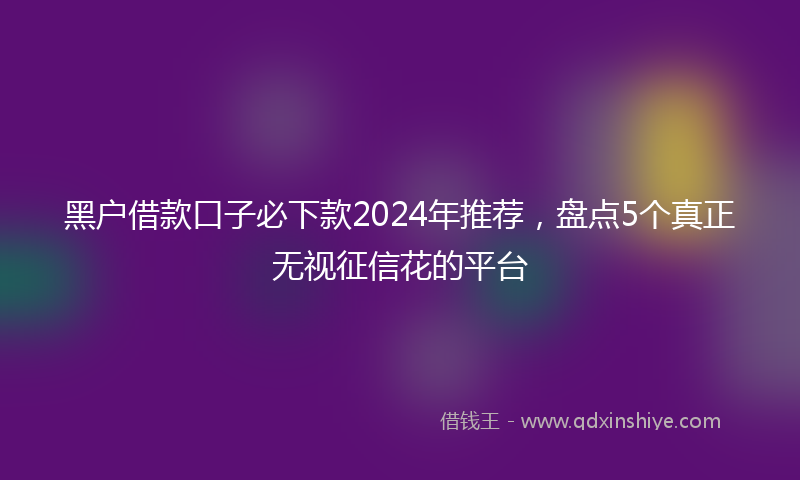 黑户借款口子必下款2024年推荐，盘点5个真正无视征信花的平台