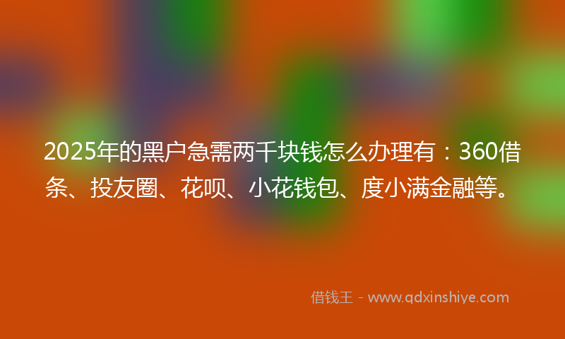 2025年的黑户急需两千块钱怎么办理有：360借条、投友圈、花呗、小花钱包、度小满金融等。