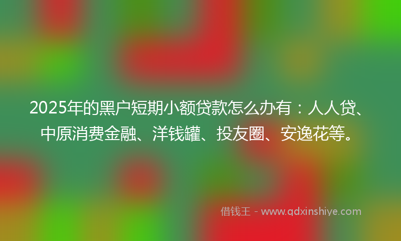2025年的黑户短期小额贷款怎么办有：人人贷、中原消费金融、洋钱罐、投友圈、安逸花等。