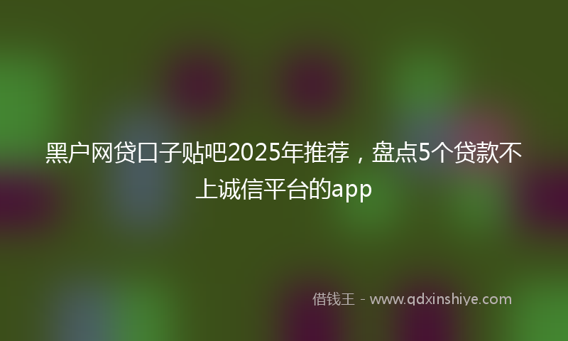 黑户网贷口子贴吧2025年推荐，盘点5个贷款不上诚信平台的app