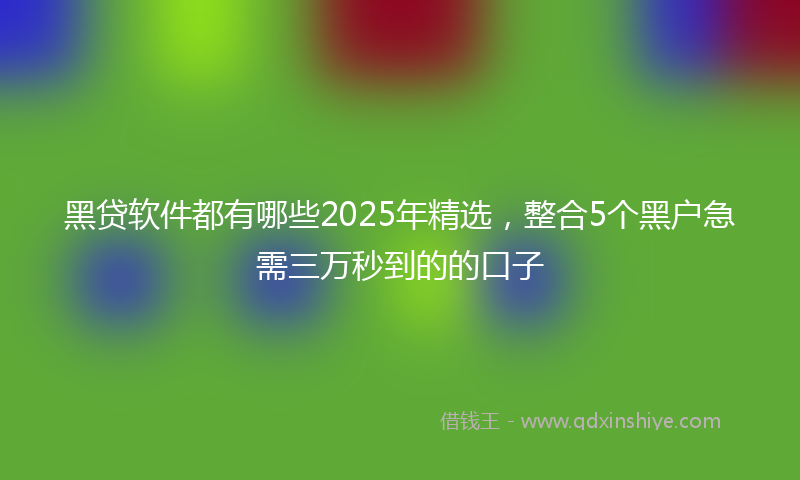 黑贷软件都有哪些2025年精选，整合5个黑户急需三万秒到的的口子