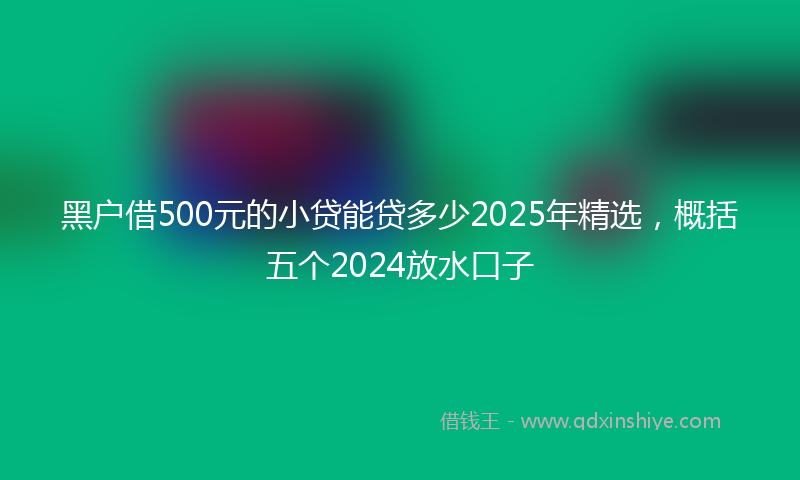 黑户借500元的小贷能贷多少2025年精选，概括五个2024放水口子