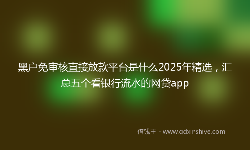 黑户免审核直接放款平台是什么2025年精选，汇总五个看银行流水的网贷app