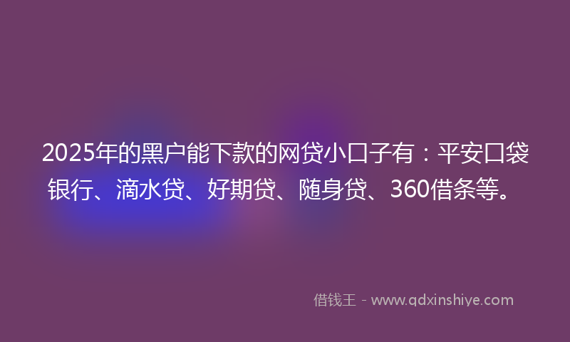 2025年的黑户能下款的网贷小口子有：平安口袋银行、滴水贷、好期贷、随身贷、360借条等。