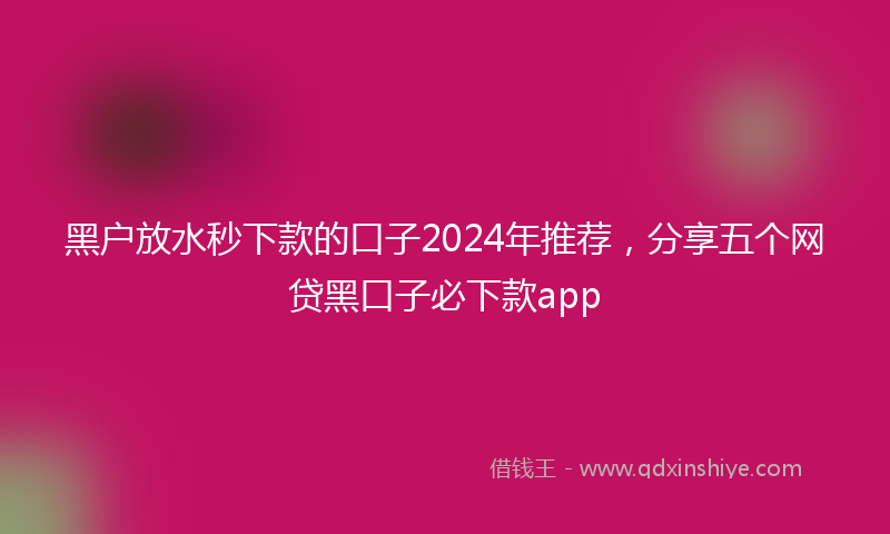 黑户放水秒下款的口子2024年推荐，分享五个网贷黑口子必下款app