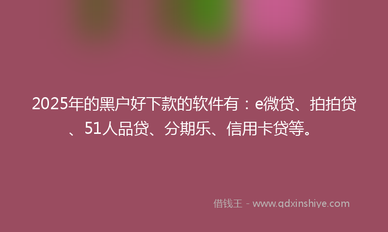 2025年的黑户好下款的软件有：e微贷、拍拍贷、51人品贷、分期乐、信用卡贷等。