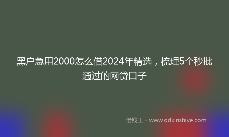 黑户急用2000怎么借2024年精选，梳理5个秒批通过的网贷口子