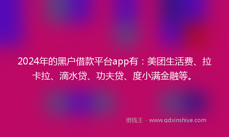 2024年的黑户借款平台app有：美团生活费、拉卡拉、滴水贷、功夫贷、度小满金融等。