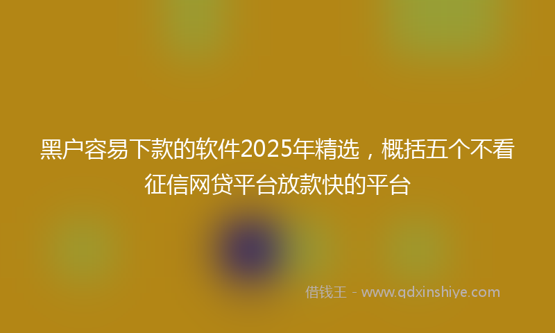 黑户容易下款的软件2025年精选，概括五个不看征信网贷平台放款快的平台