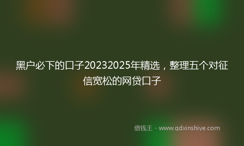 黑户必下的口子20232025年精选，整理五个对征信宽松的网贷口子