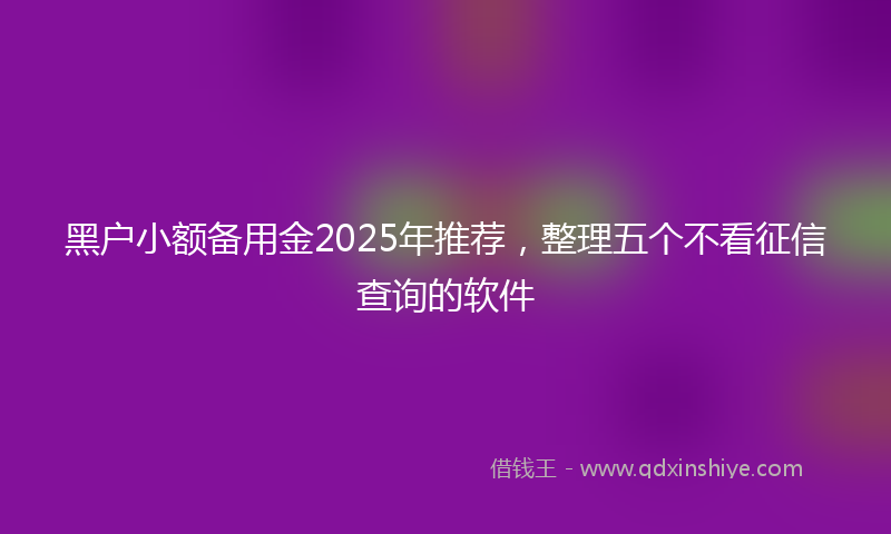 黑户小额备用金2025年推荐，整理五个不看征信查询的软件