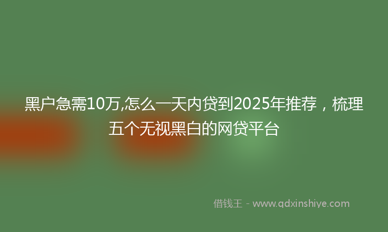 黑户急需10万,怎么一天内贷到2025年推荐，梳理五个无视黑白的网贷平台