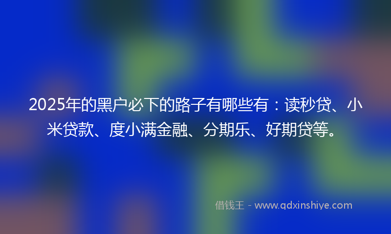 2025年的黑户必下的路子有哪些有：读秒贷、小米贷款、度小满金融、分期乐、好期贷等。