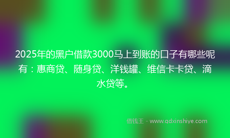 2025年的黑户借款3000马上到账的口子有哪些呢有：惠商贷、随身贷、洋钱罐、维信卡卡贷、滴水贷等。
