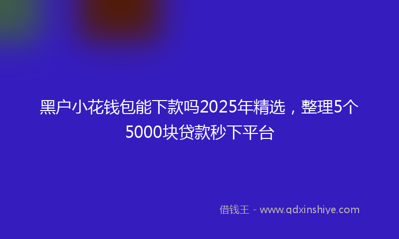 黑户小花钱包能下款吗2025年精选，整理5个5000块贷款秒下平台
