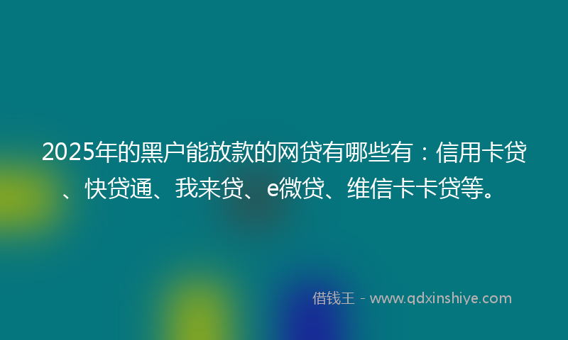 2025年的黑户能放款的网贷有哪些有：信用卡贷、快贷通、我来贷、e微贷、维信卡卡贷等。