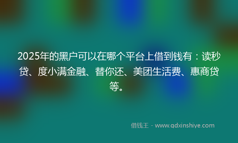 2025年的黑户可以在哪个平台上借到钱有：读秒贷、度小满金融、替你还、美团生活费、惠商贷等。