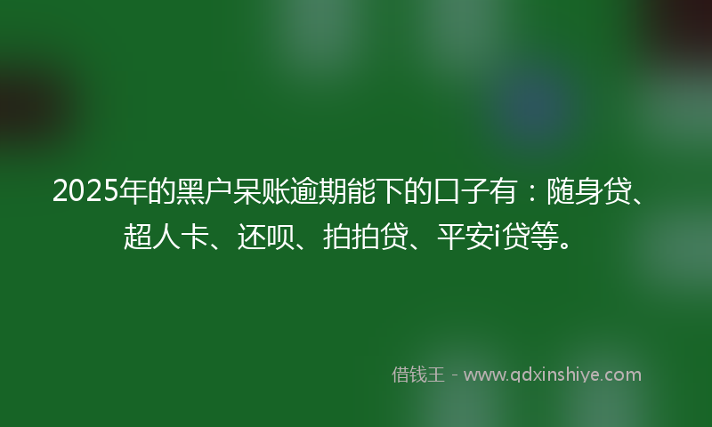 2025年的黑户呆账逾期能下的口子有：随身贷、超人卡、还呗、拍拍贷、平安i贷等。