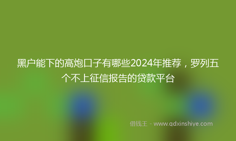 黑户能下的高炮口子有哪些2024年推荐，罗列五个不上征信报告的贷款平台