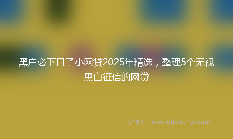 黑户必下口子小网贷2025年精选，整理5个无视黑白征信的网贷