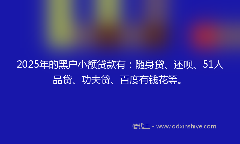 2025年的黑户小额贷款有：随身贷、还呗、51人品贷、功夫贷、百度有钱花等。