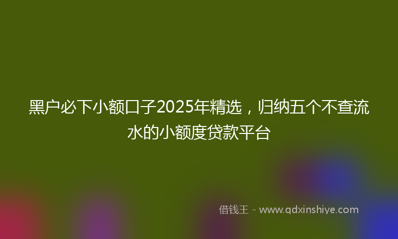 黑户必下小额口子2025年精选，归纳五个不查流水的小额度贷款平台