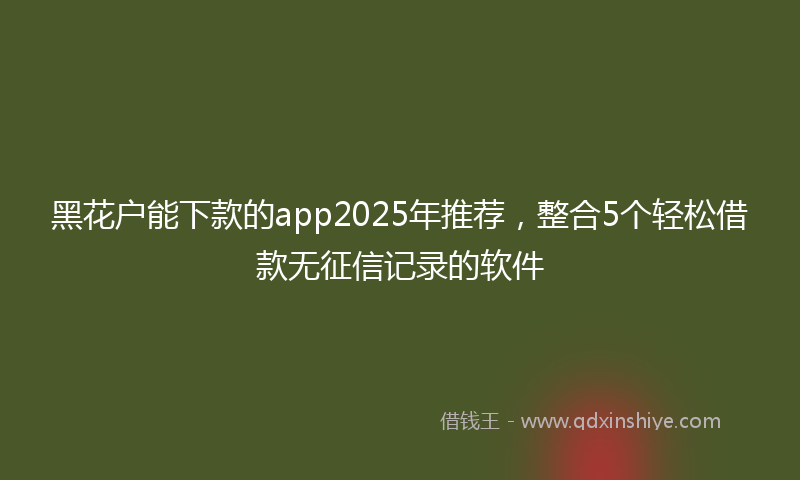 黑花户能下款的app2025年推荐，整合5个轻松借款无征信记录的软件